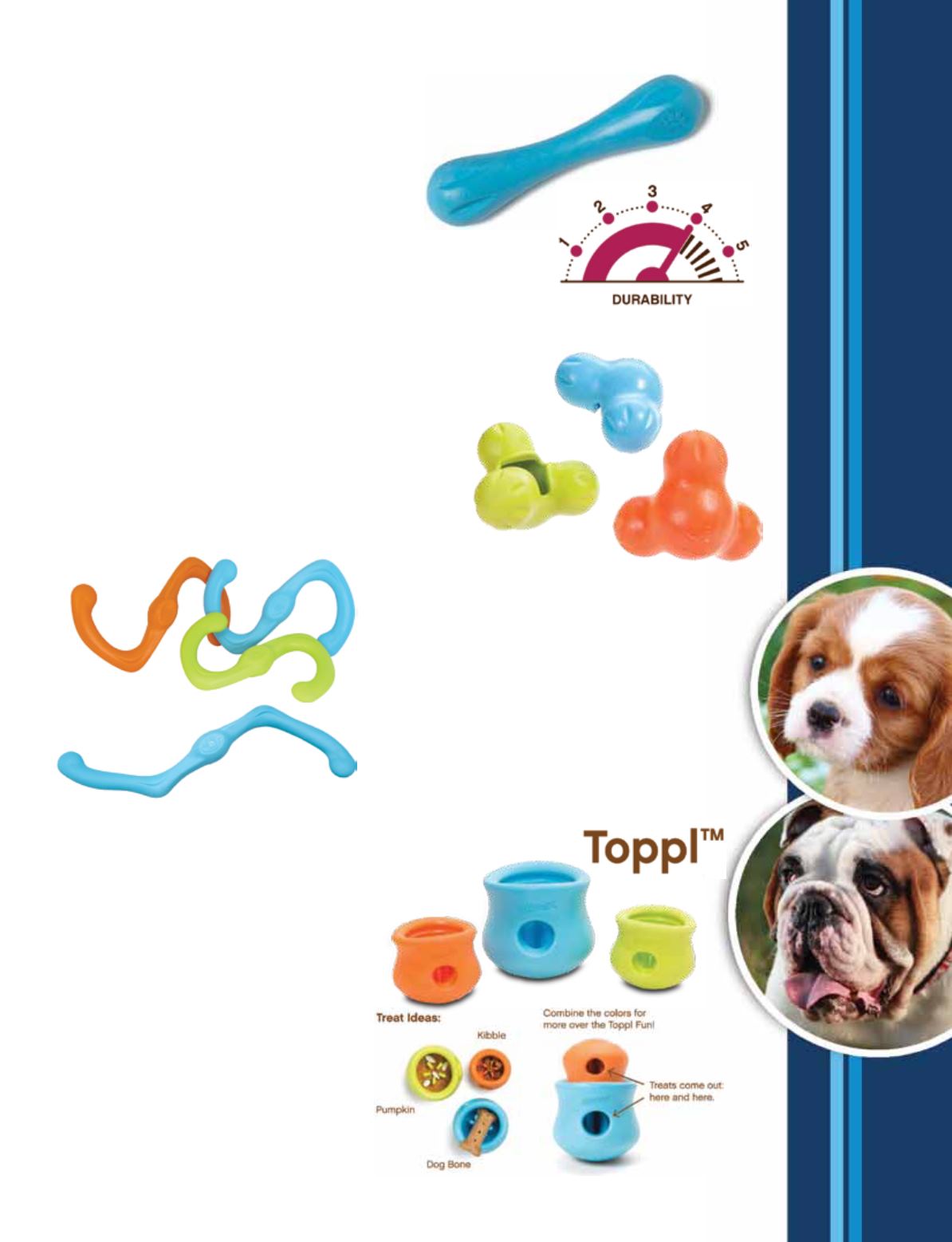 Dog catalogue hotsell